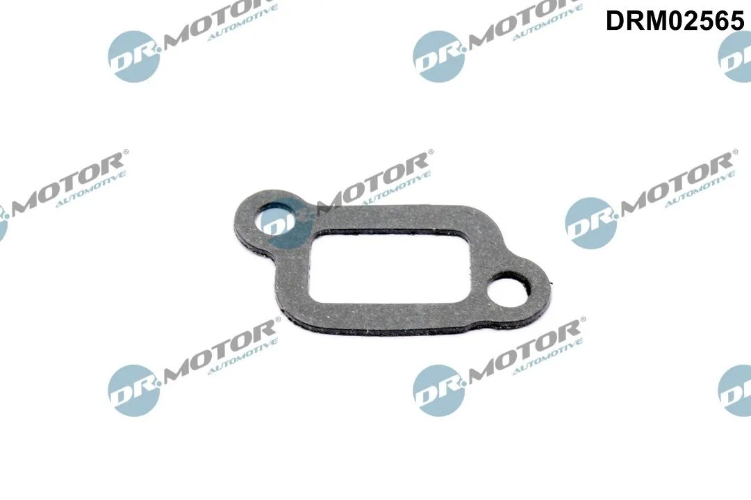 Gasket, thermostat housing